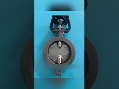 Was ist ein motorisiertes Schmetterlingsventil?