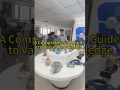 Warum bevorzugen Kunden die Fabia-Ventile?